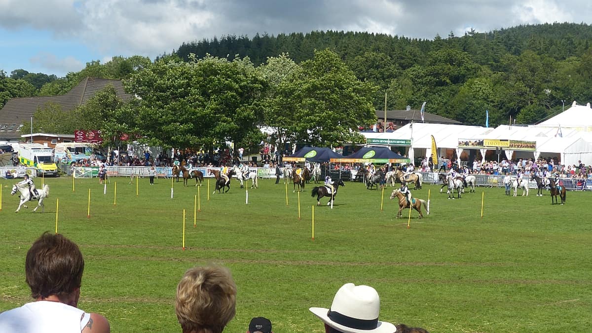 Newport Show 2026