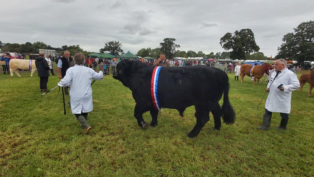 Minsterley Show 2026